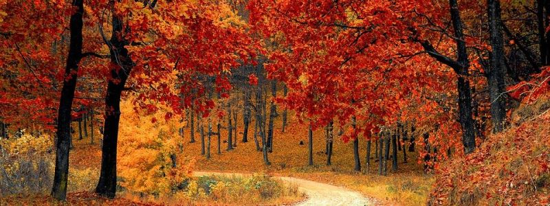 "Finalmente Autunno"...